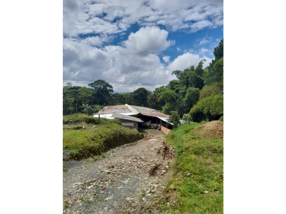 Finca muy bien ubicada en Filandia Quindio