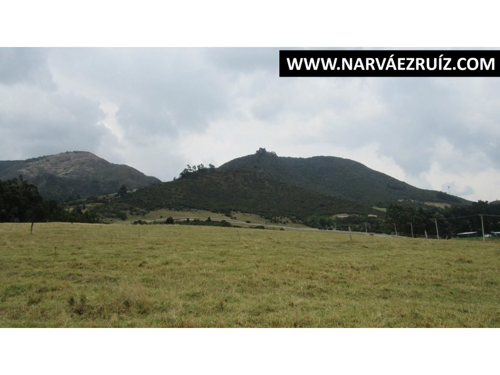 Vendo Finca de 20.000Mts en Tenjo