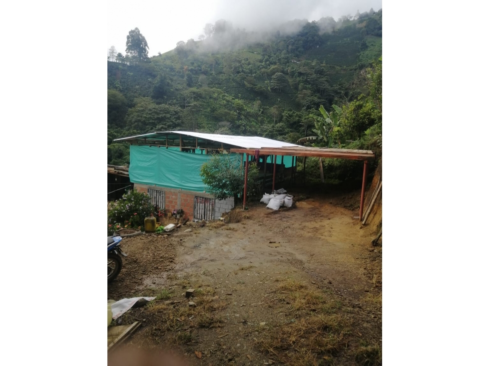 Se vende Finca V. San Juan Bajo Génova Quindío