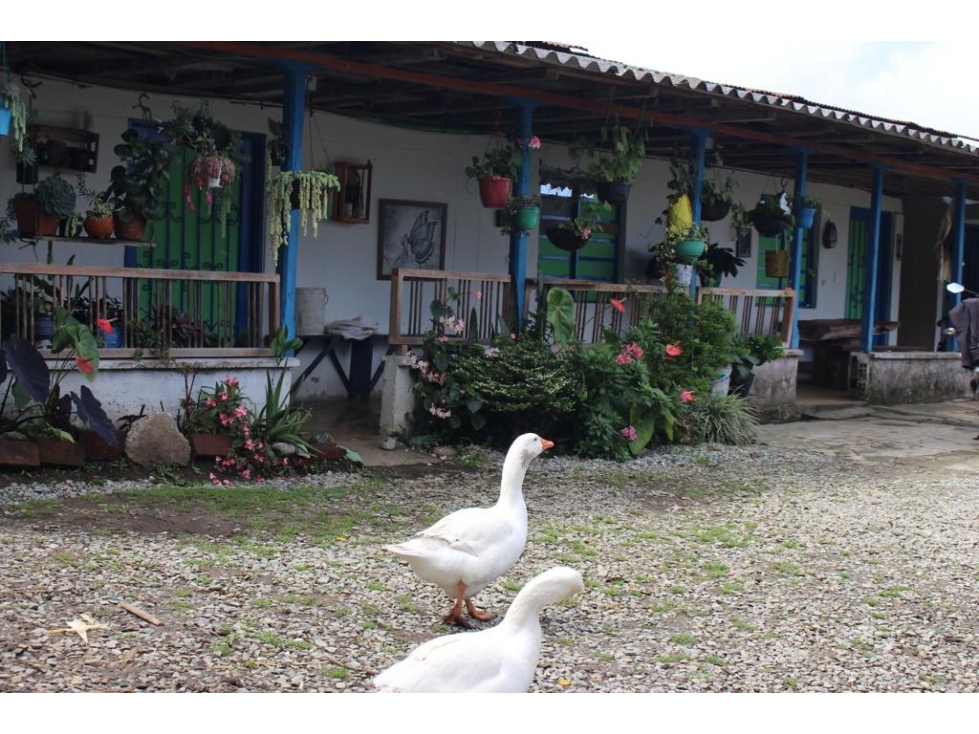 Se vende Finca Córdoba Quindío