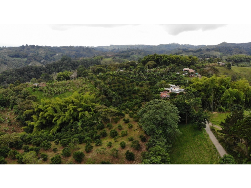 Se vende Finca V. Santa Teresa Filandia Quindío