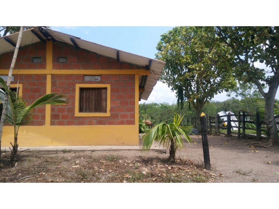 Se vende Finca en Viterbo Caldas