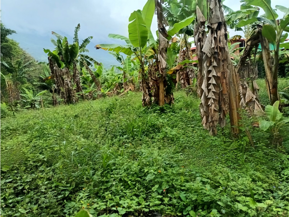 Se vende Lote Calarcá Quindío