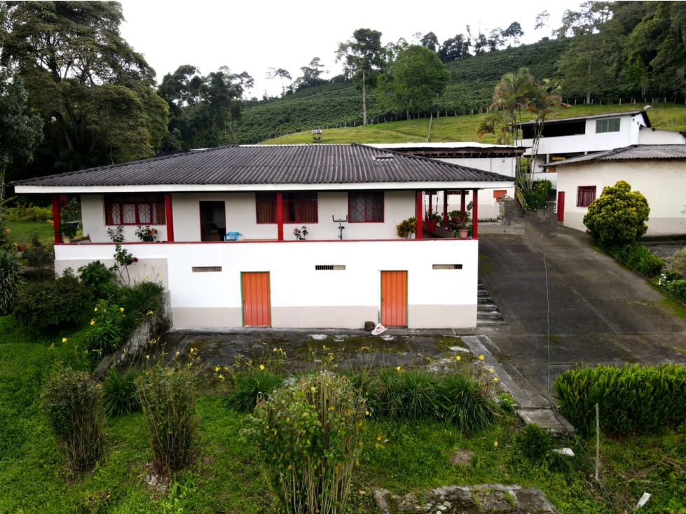 Se vende Finca Cafetera Génova Quindío