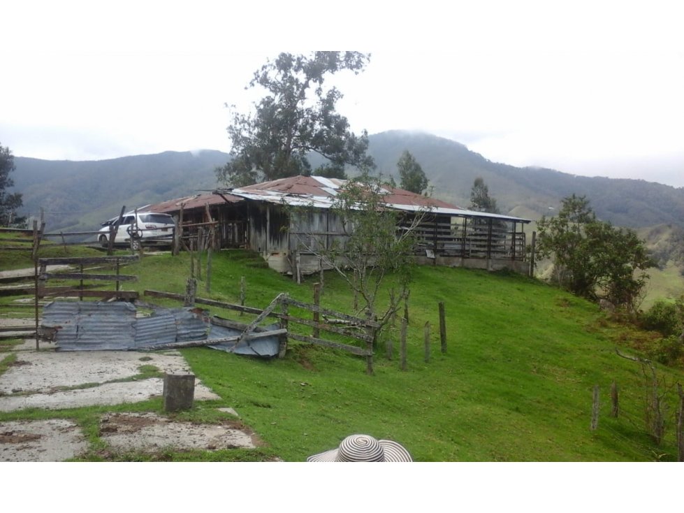 Se vende Finca en Génova Quindío