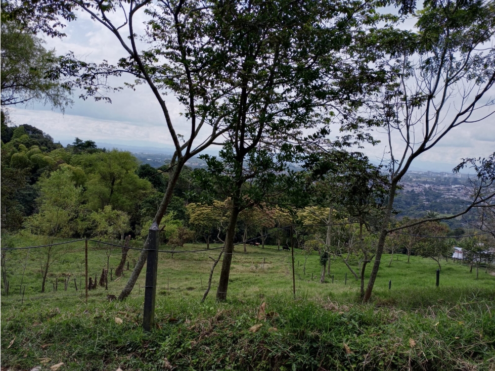 Se vende Finca Calarcá Quindío