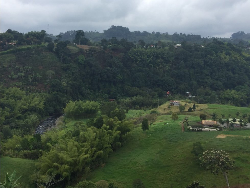 VENTA FINCA CON BUENA VISTA, SALENTO