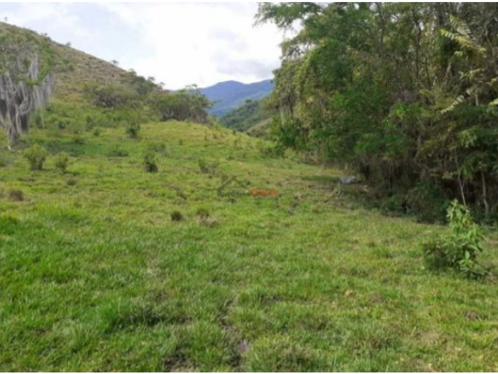 Vendo Finca en Sonso, Guacarí, Valle del Cauca, Ganadera.