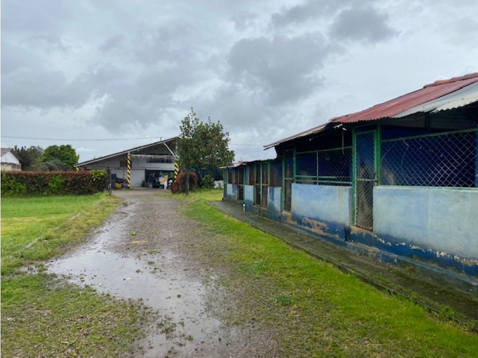 Vendo Lote o Finca de 47.000mt con bodega y casa