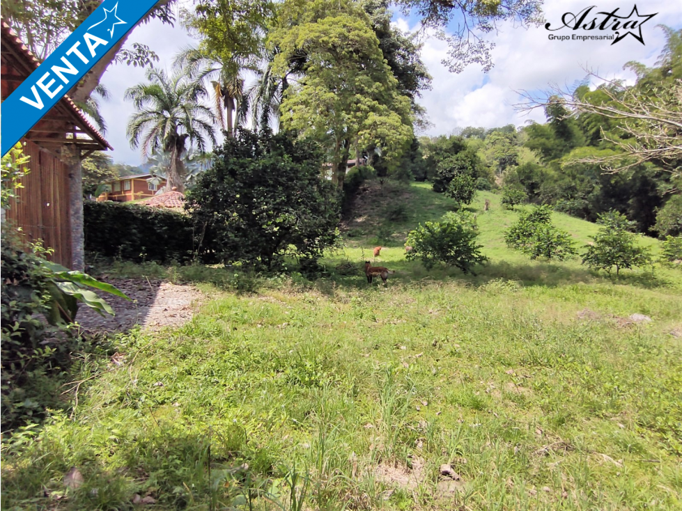 VENTA LOTE VEREDA TAREAS NEIRA