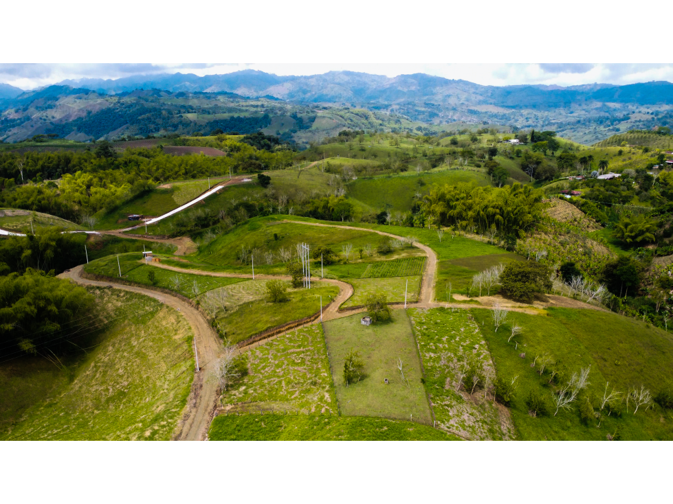 Lotes en venta vía Alcalá - Cartago