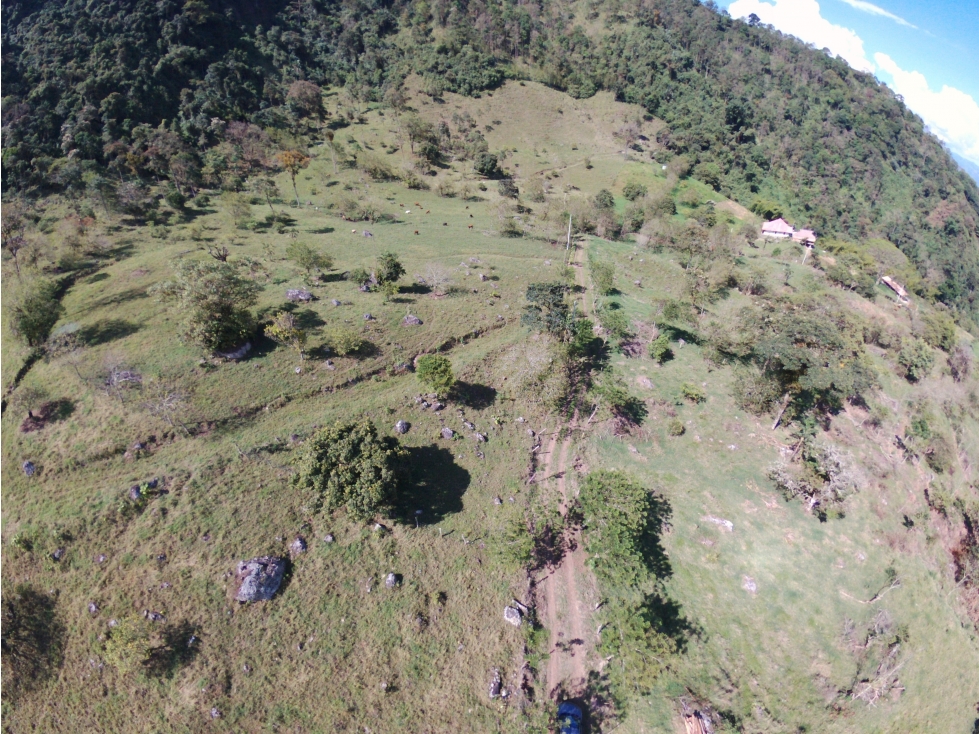 Lotes en Tarso (Suroeste Antioqueño)