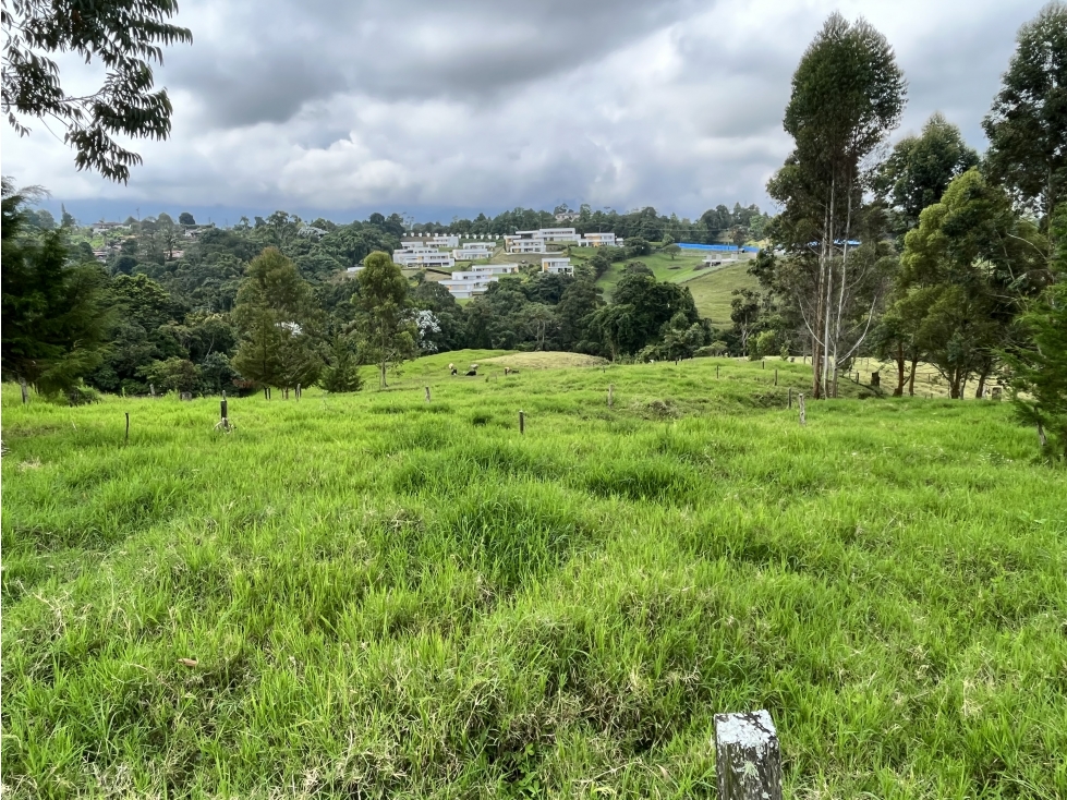 VENTA DE FINCA EN CIRCASIA, QUINDIO, COLOMBIA