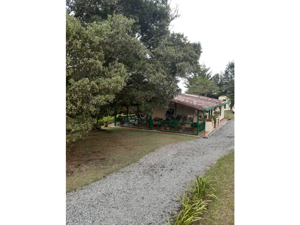 Venta  Finca Marinilla Vía Rionegro junto  Parcelación ALUNA.  Recibo