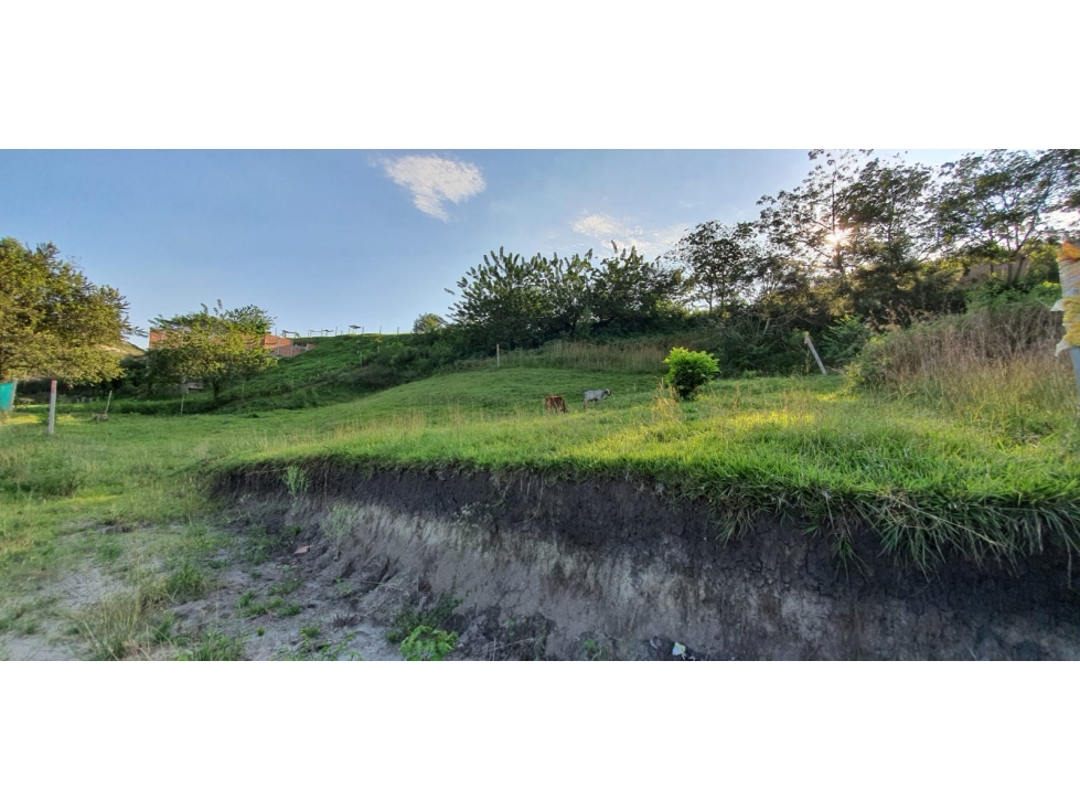 Se vende lote campestre  - En la Vía Cartago a Cali