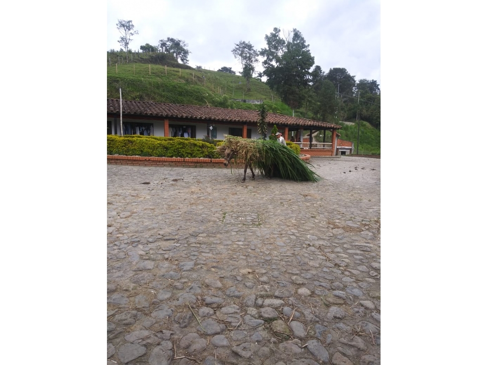 SE VENDE FINCA  - SANTA ROSA DE CABAL