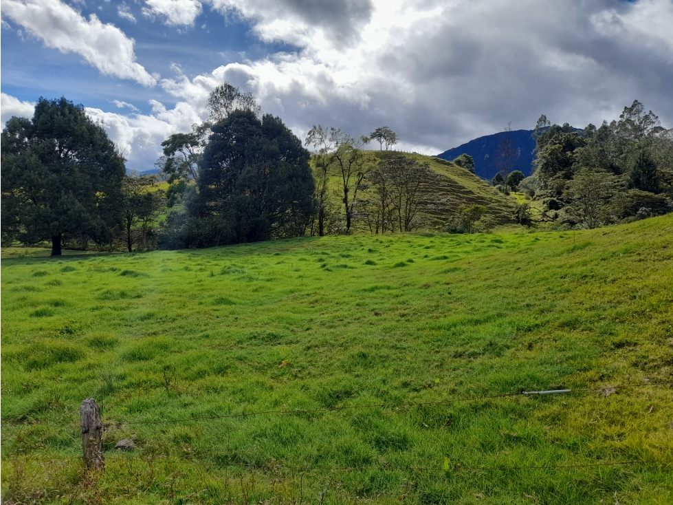 Venta Finca Agropecuaria De 27 fanegadas Vereda Las Pilas Pacho