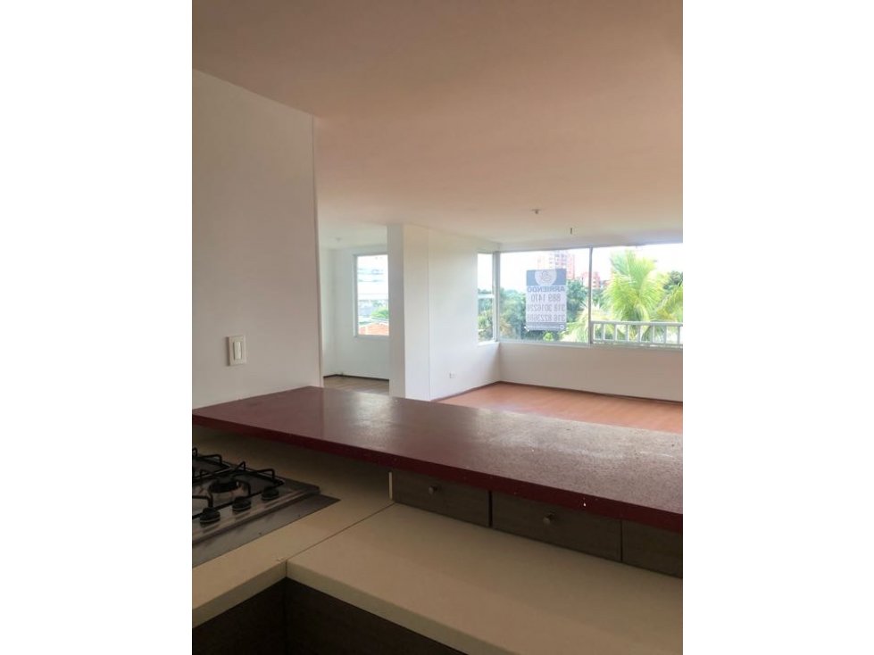 Alquiler amplio apartamento remodelado torres Limónar