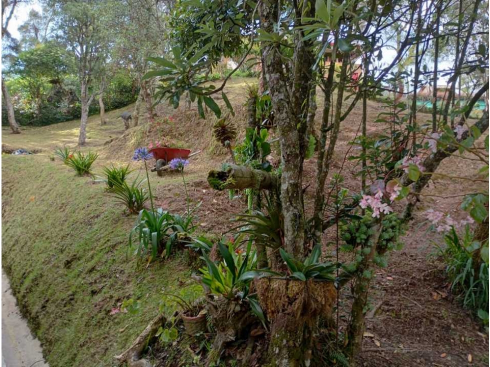 Casa En Santa Elena