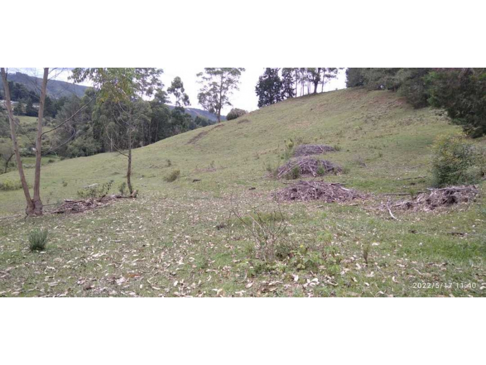 ESPECTACULAR LOTE DE USO MIXTO, UBICADO EN GUARNE