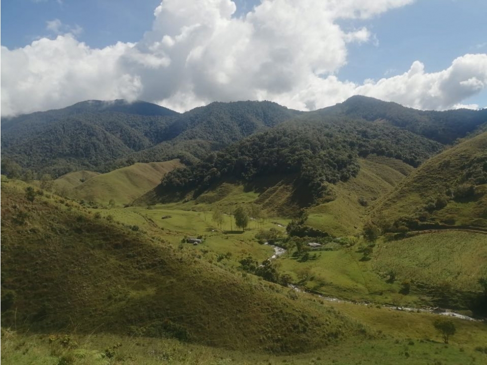 ESPECTACULAR TIERRA EN URRAO DE 337 HECTÁREAS A 45 MIN DEL PUEBLO