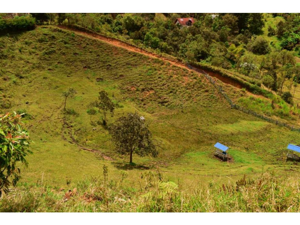 FINCA CON SEMBRADO DE AGUACATE ANTES DE SAN VICENTE