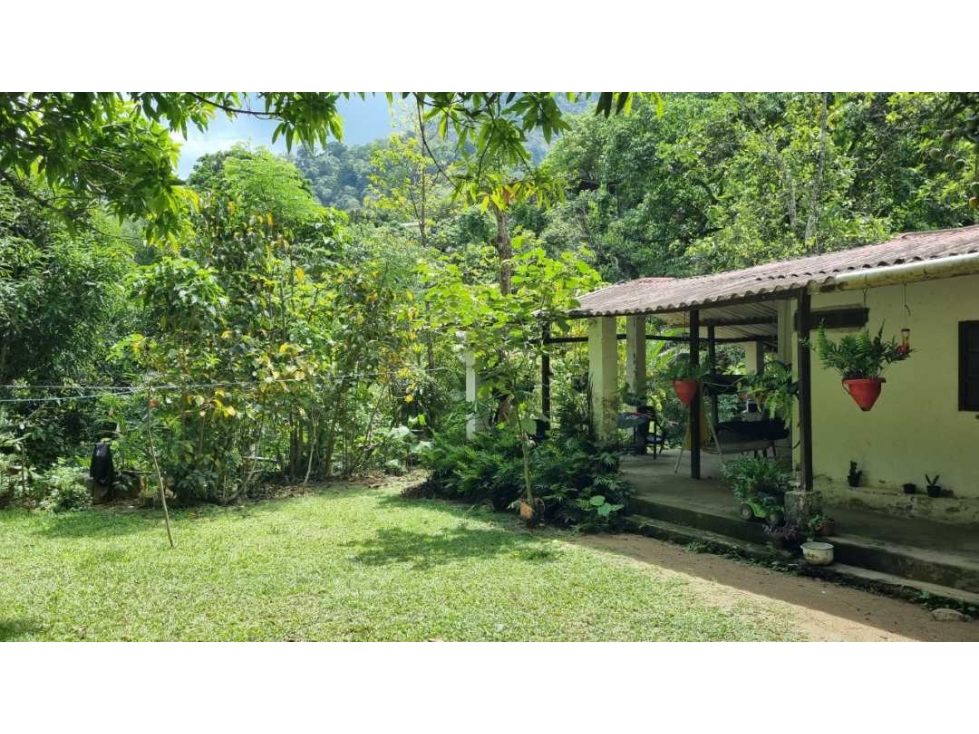 Finca con ventajas ecoturísticas y descanso, minca, pozo azul