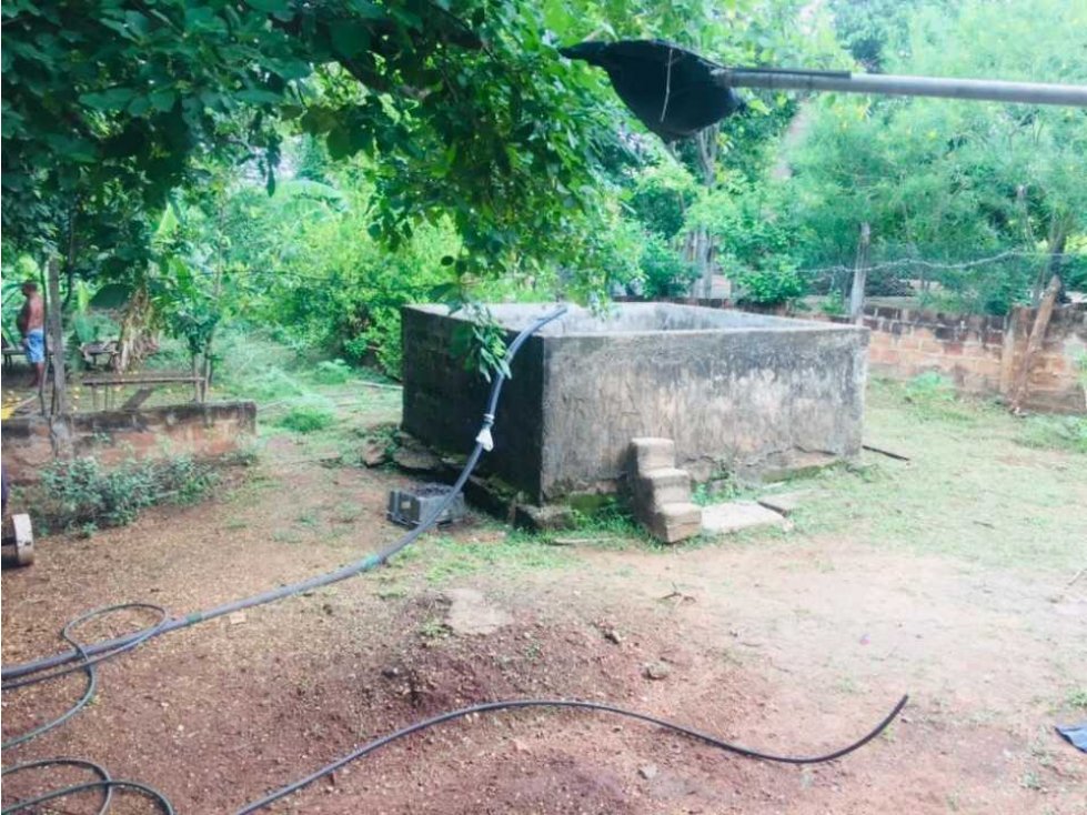 Finca de 1 hectárea a orilla de carretera vereda masinga o11