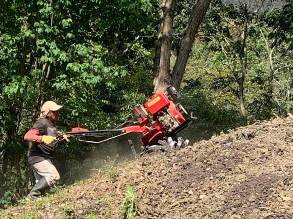 Finca de producción , ganaderia, árboles frutales, lagos de peces,