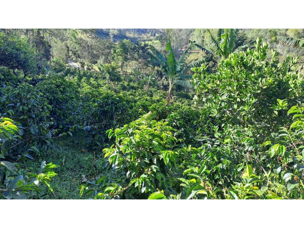 Finca en venta autosostenible en casabuy Chachagui