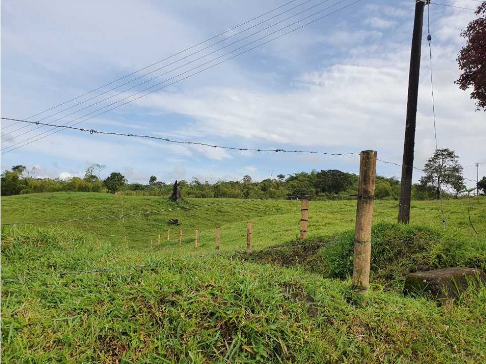 Finca en pasto estrella, área 29 cuadras =18,56 Hás La Pola Circasia