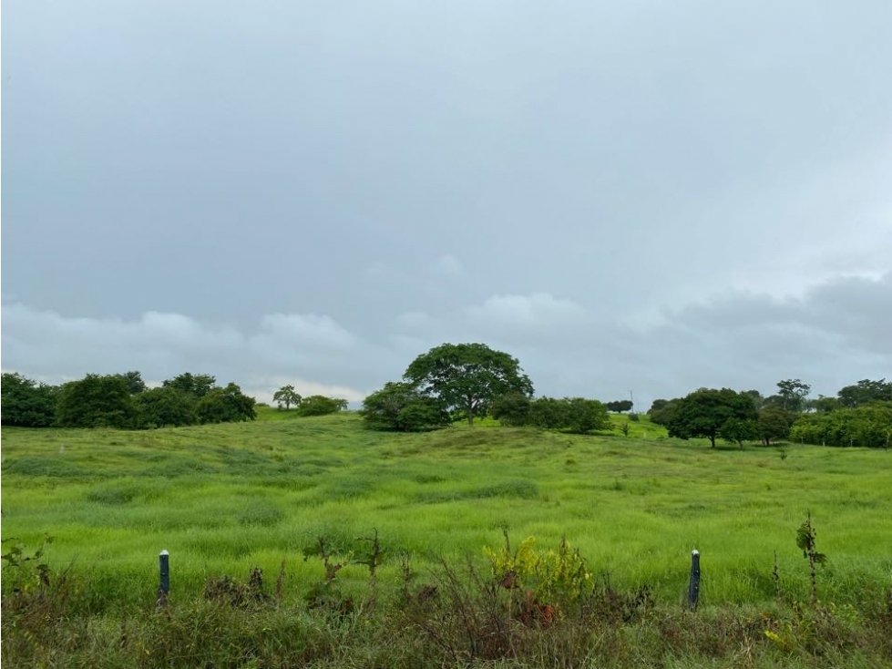 Finca Venta 20Has Vía Cañaveral $2.400 Millones