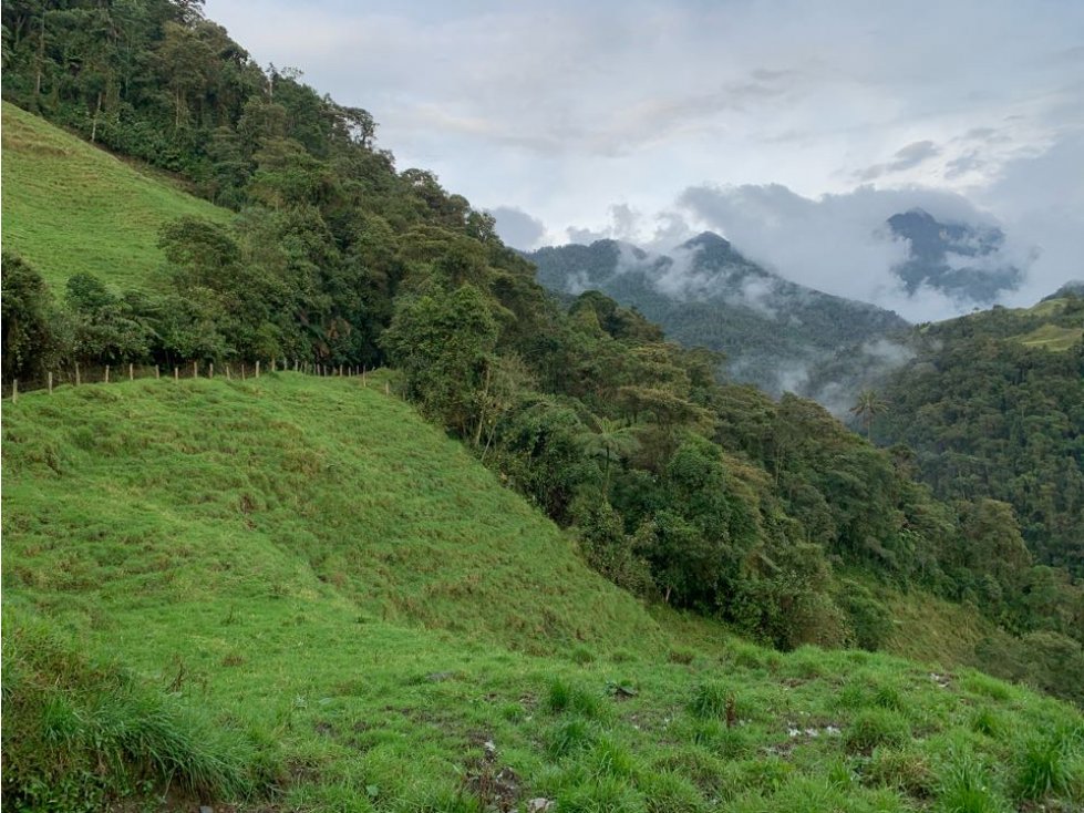 Gran Finca Lote Gallinazo Villamaria Manizales