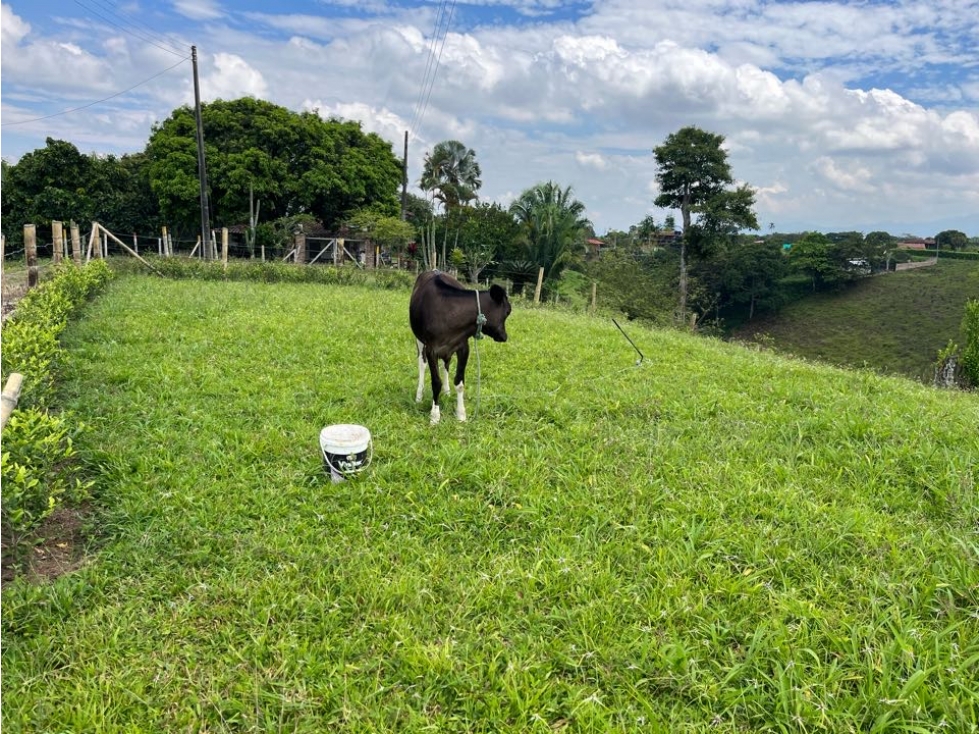 HERMOSO LOTE CAMPESTRE