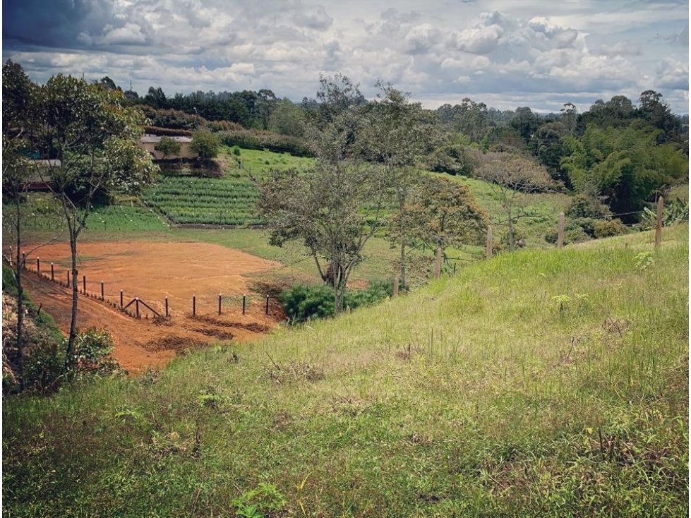 Increíble lote de 5.400mts en distrito equino de Pontezuela con agua