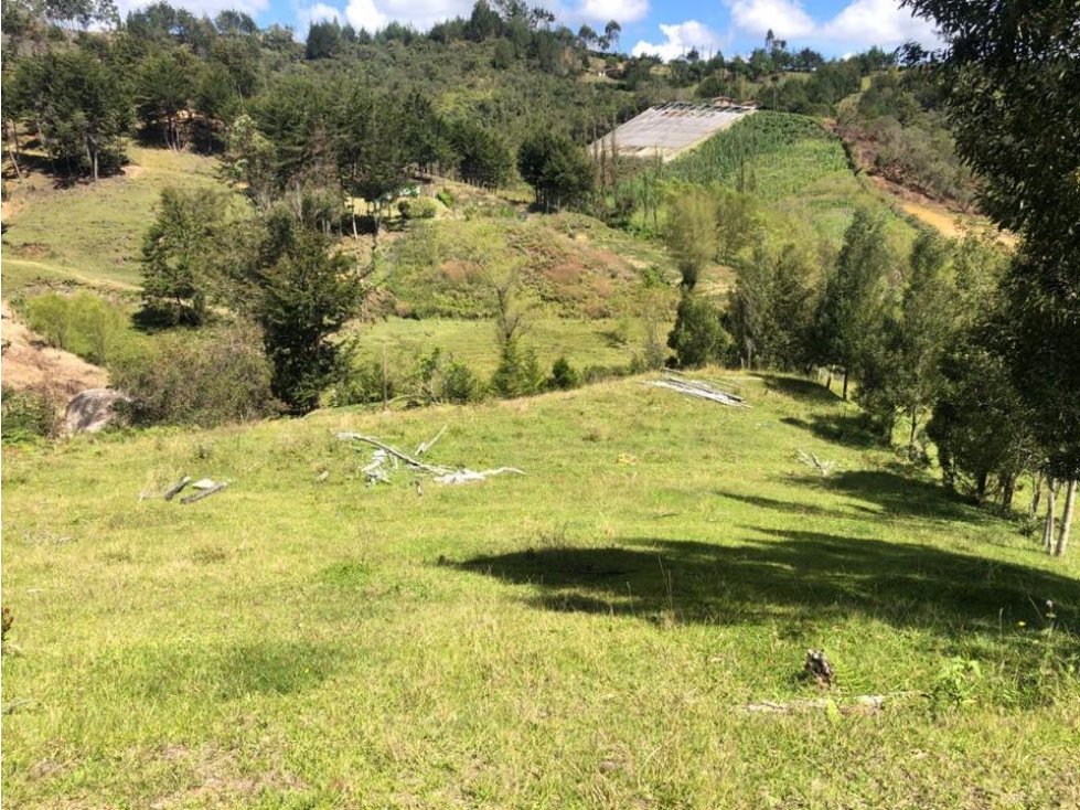 Linda Finca Campesina con lote de 3300