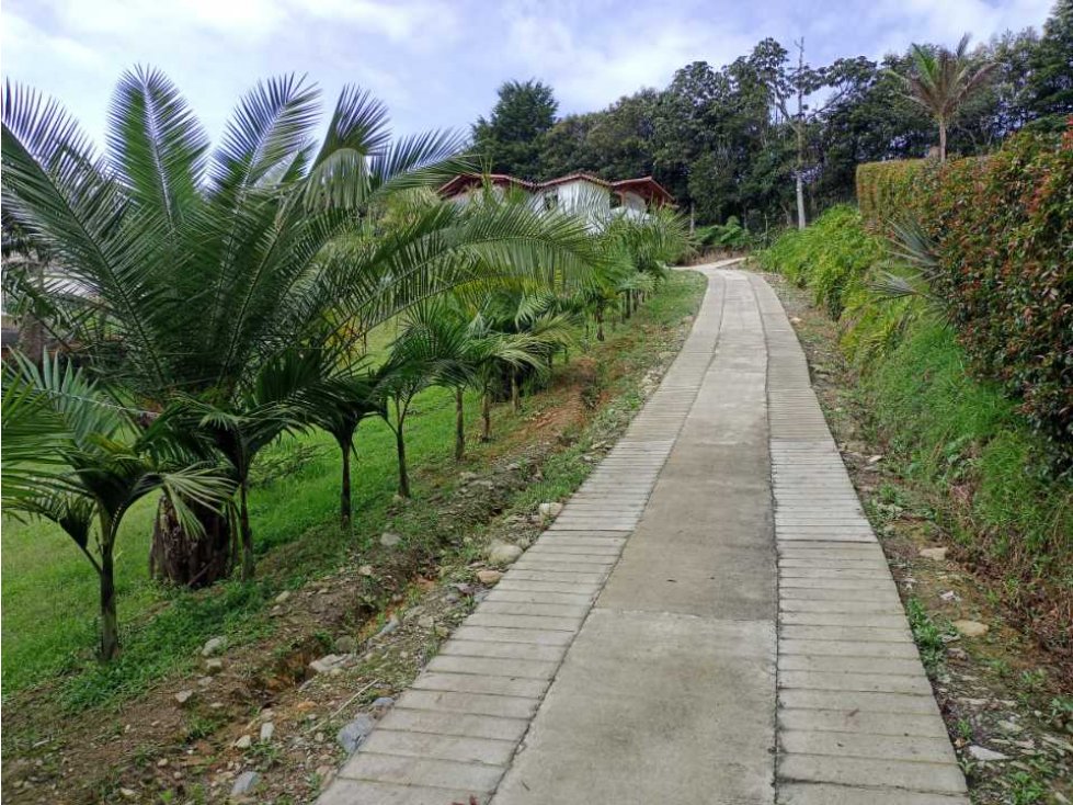 LINDA FINCA EN VENTA EN LA VEREDA SAMARÍA DEL CARMEN DE VÍBORAL ANT.