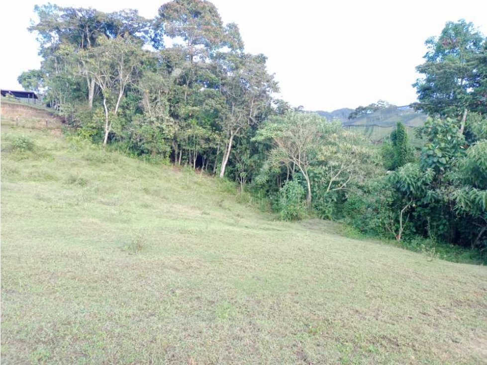 LINDO LOTE CON AGUA PROPIA EN VENTA EN EL CARMEN DE VIBORAL ANTIOQUIA