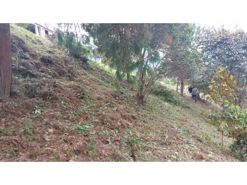 Venta De Lote Guarne Vereda La Pastorcita 2.380²