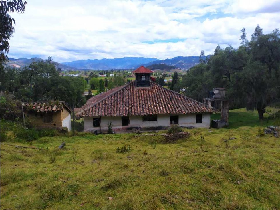 LOTE COMERCIAL CON CASA. AREA 84.518m2 TIBASOSA BOYACA