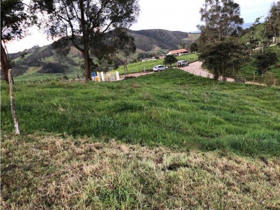 LOTE DE UNA CUADRA SAN PEDRO DE LOS MILAGROS