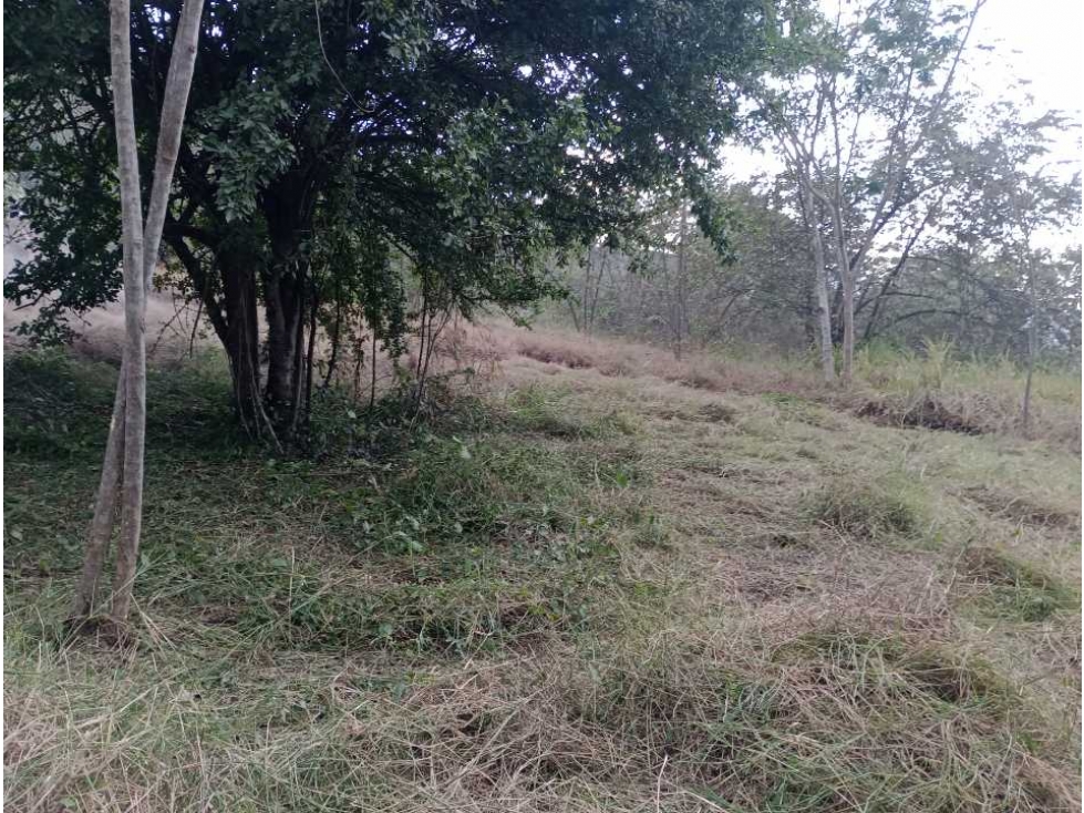 Lote en Santa Fe, Antioquia, Colombia.