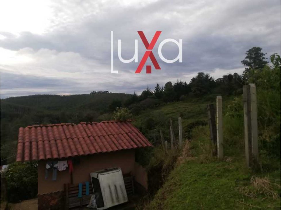 LUXA VENDE FINCA EN TESALIA DEPTO DEL HUILA