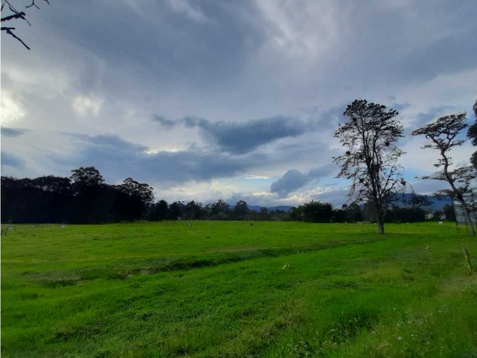 Proyecto de Lotes de 1300 a 2400 mts  Unidad Cerrada La Ceja