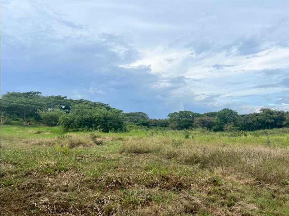 SE VENDE EXCELENTE FINCA VIA LA VICTORIA - PEREIRA