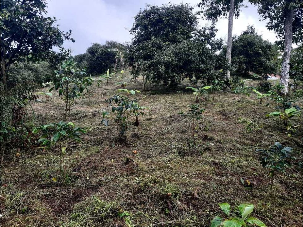 Se vende finca en filandia vereda el congal