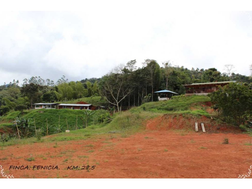 Se vende hermosa finca con cabañas  kilómetro 30