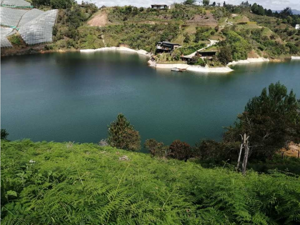 Se Vende Lote en el Peñol, vereda la Palestina