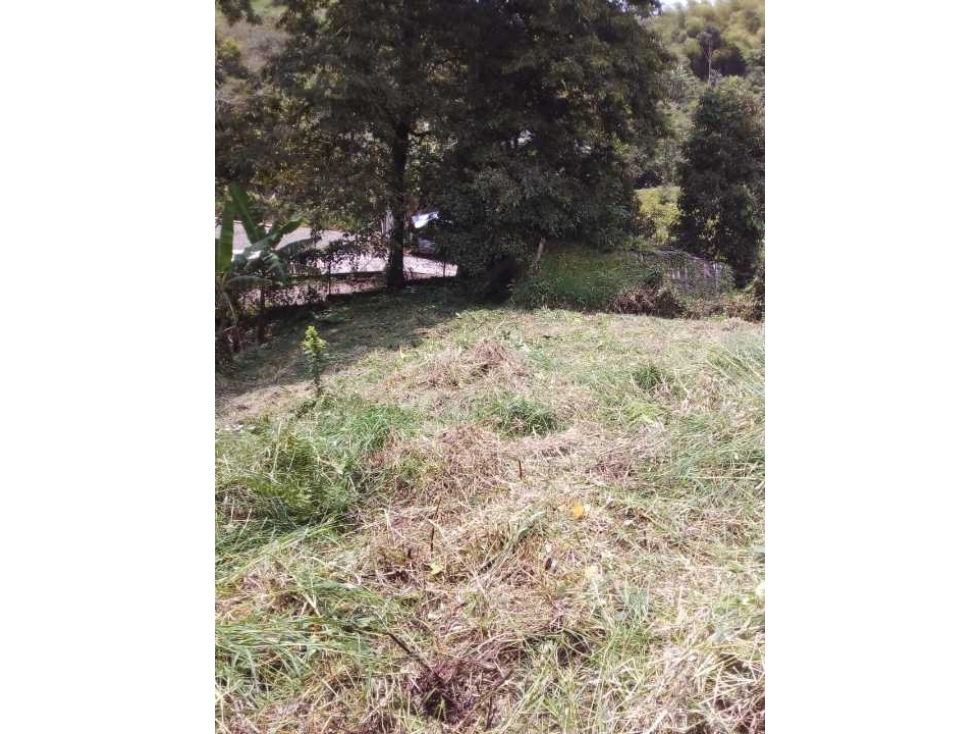 SE VENDE LOTE EN FILANDIA QUINDÍO