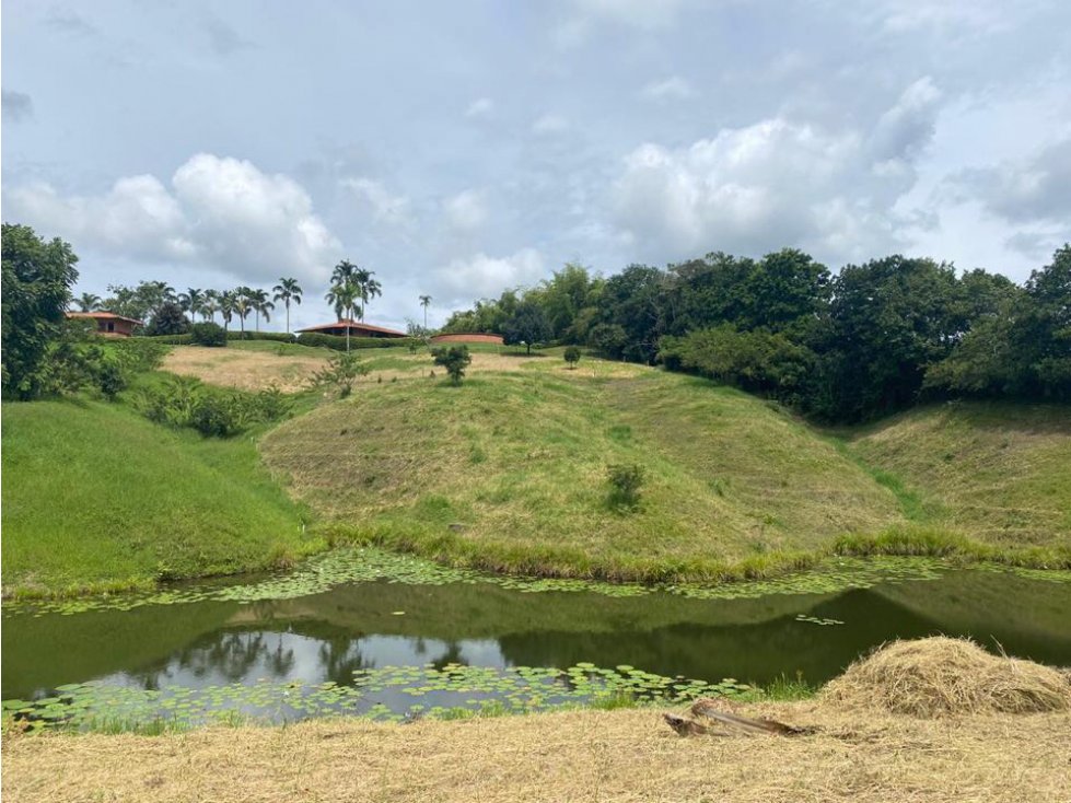 Se vende Lote Pereira, Cerritos